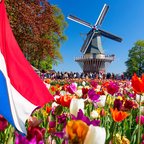 Dutch flag waving in a vibrant tulip field with a traditional windmill and visitors in the background on a sunny spring day in the Netherlands.