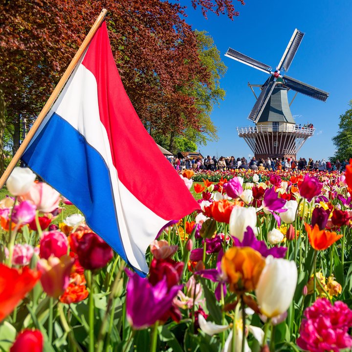 Dutch flag waving in a tulip field with a traditional windmill and visitors in the background on a sunny spring day in the Netherlands.